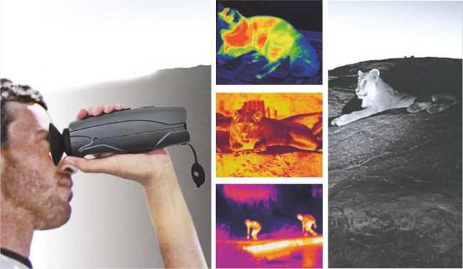 Тепловизионный монокуляр CEM T-72 Тепловизионный монокуляр CEM T-72