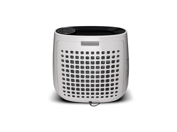 Очиститель воздуха FPJ31RB