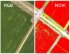 Квадрокоптер DJI Phantom 4 Multispectral + Мобильная станция D-RTK 2 High Precision GNSS