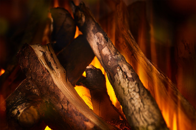 New Forest 1600 with Deluxe Real logs