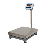 Весы РМ1Е-100 4560