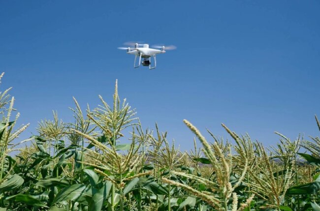 Сельскохозяйственный квадрокоптер DJI Phantom 4 мультиспектральный