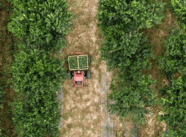 Наземный дрон XAG R150 2020 XAUV Spray Model Наземный дрон XAG R150 2020 XAUV Spray Model