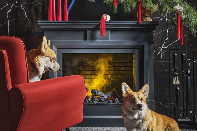 Портал Dimplex Coventry - Белый Портал Dimplex Coventry - Белый